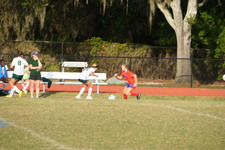 Enlarge photo 463