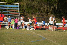 Enlarge photo 473