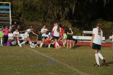 Enlarge photo 478