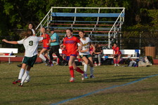 Enlarge photo 491