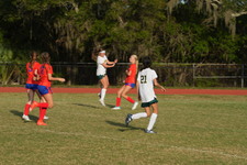 Enlarge photo 494