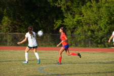 Enlarge photo 497