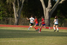 Enlarge photo 509