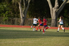 Enlarge photo 510
