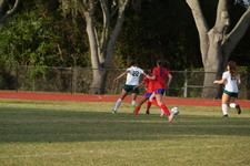 Enlarge photo 511