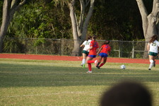 Enlarge photo 513