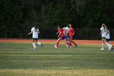 Enlarge photo 523