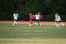 Enlarge photo 524