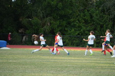 Enlarge photo 529