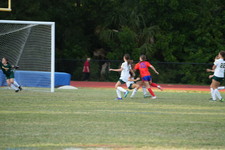 Enlarge photo 534