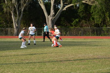 Enlarge photo 572