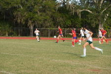 Enlarge photo 597
