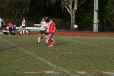 Enlarge photo 613