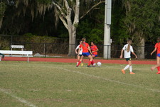 Enlarge photo 614