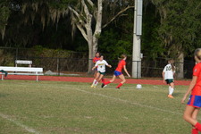 Enlarge photo 617