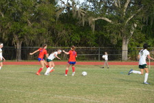 Enlarge photo 627