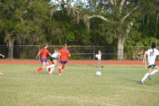 Enlarge photo 628