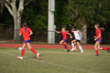 Enlarge photo 654