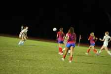 Enlarge photo 122