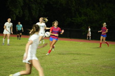 Enlarge photo 153