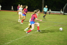 Enlarge photo 161