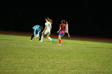 Enlarge photo 212