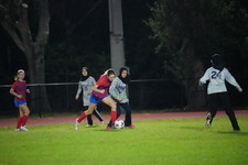 Enlarge photo 56