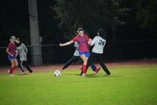 Enlarge photo 61