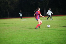 Enlarge photo 105