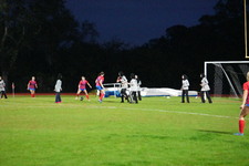 Enlarge photo 131