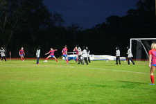 Enlarge photo 132