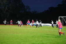 Enlarge photo 135