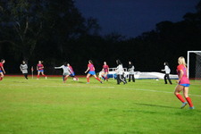 Enlarge photo 137