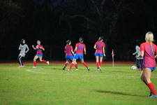 Enlarge photo 140