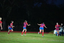 Enlarge photo 146