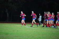 Enlarge photo 169