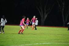 Enlarge photo 177