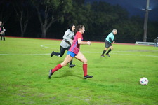 Enlarge photo 221