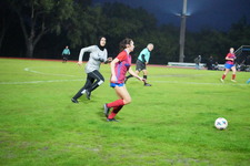 Enlarge photo 222