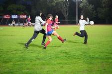 Enlarge photo 225