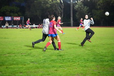 Enlarge photo 226