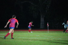 Enlarge photo 234