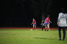 Enlarge photo 239