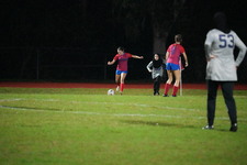 Enlarge photo 241