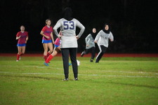 Enlarge photo 248