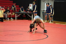 Enlarge photo 233