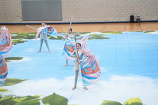 Enlarge photo 152