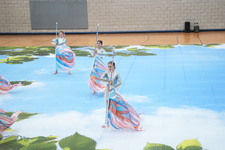 Enlarge photo 155