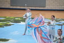 Enlarge photo 172