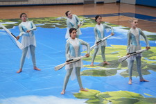 Enlarge photo 353